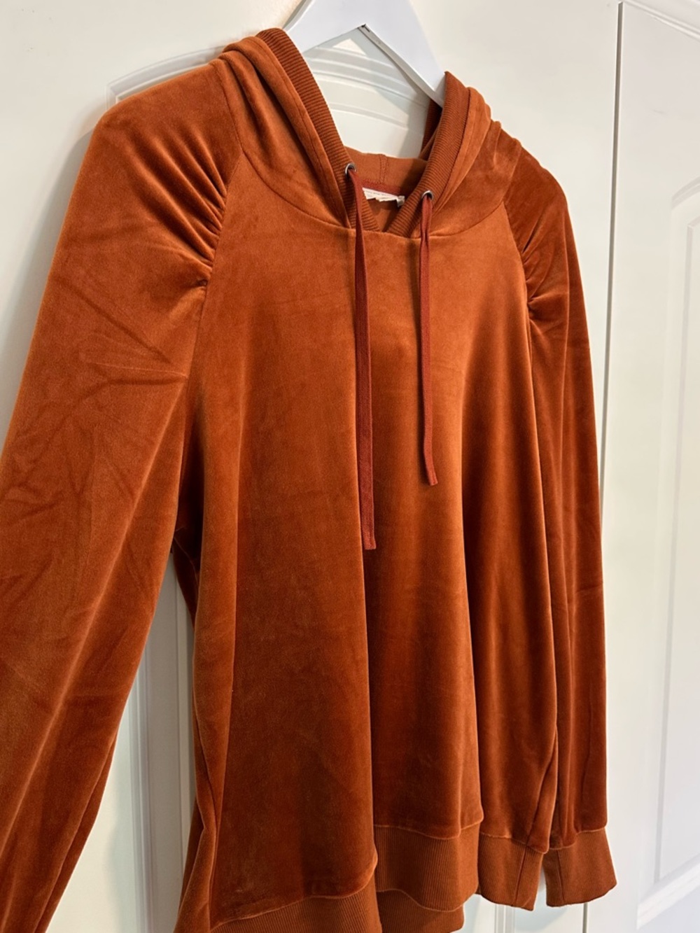 ☀️ JANE AND DELANCEY Velour Hoodie